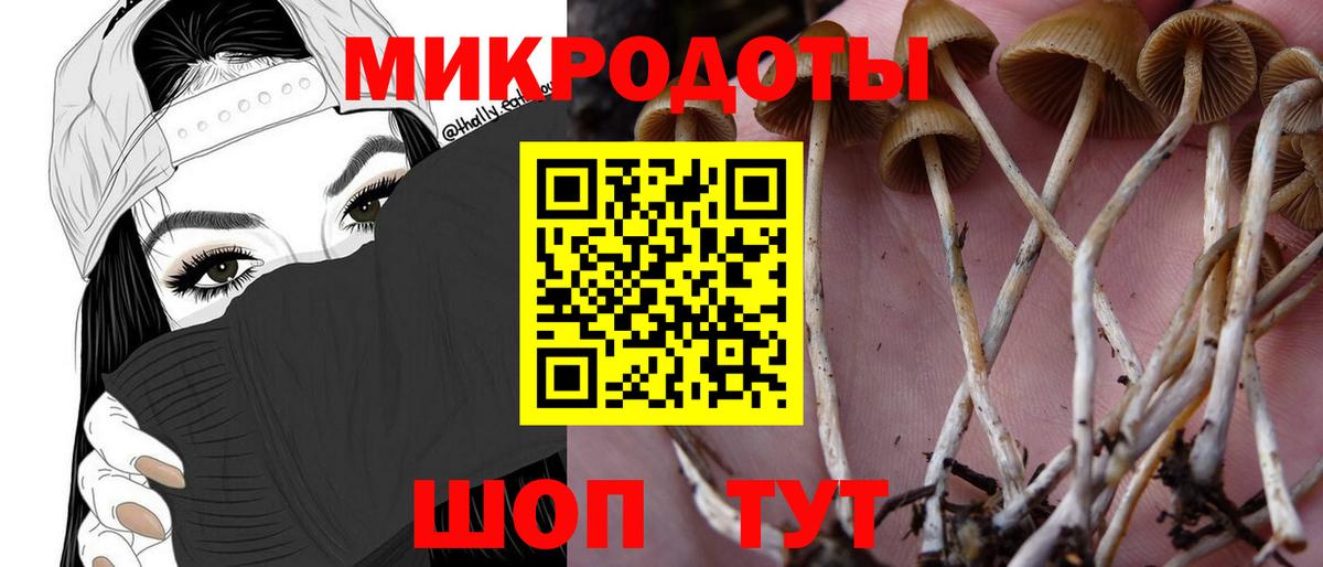Псилоцибиновые грибы MAGIC MUSHROOMS Вышний Волочёк